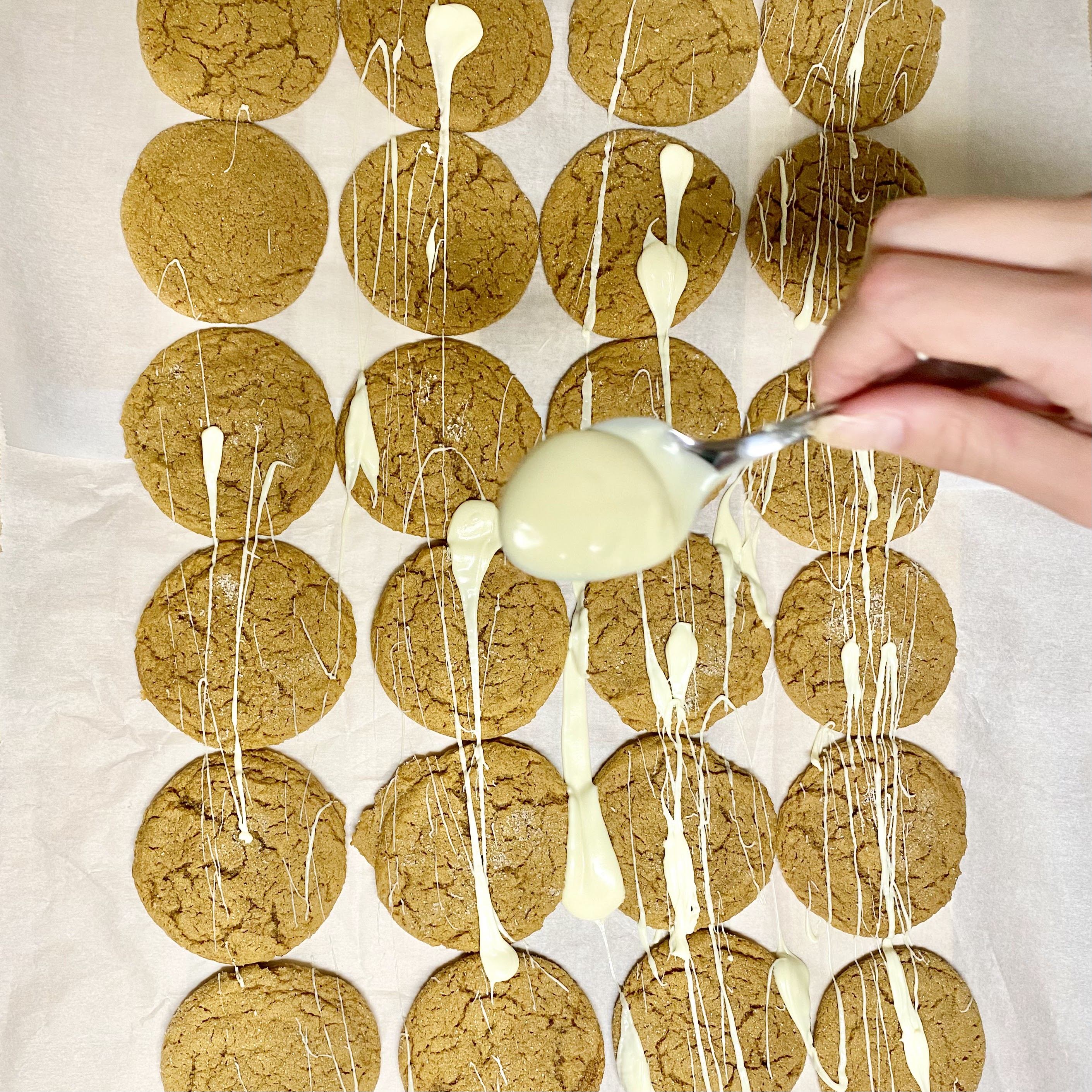 ginger cookies on pan