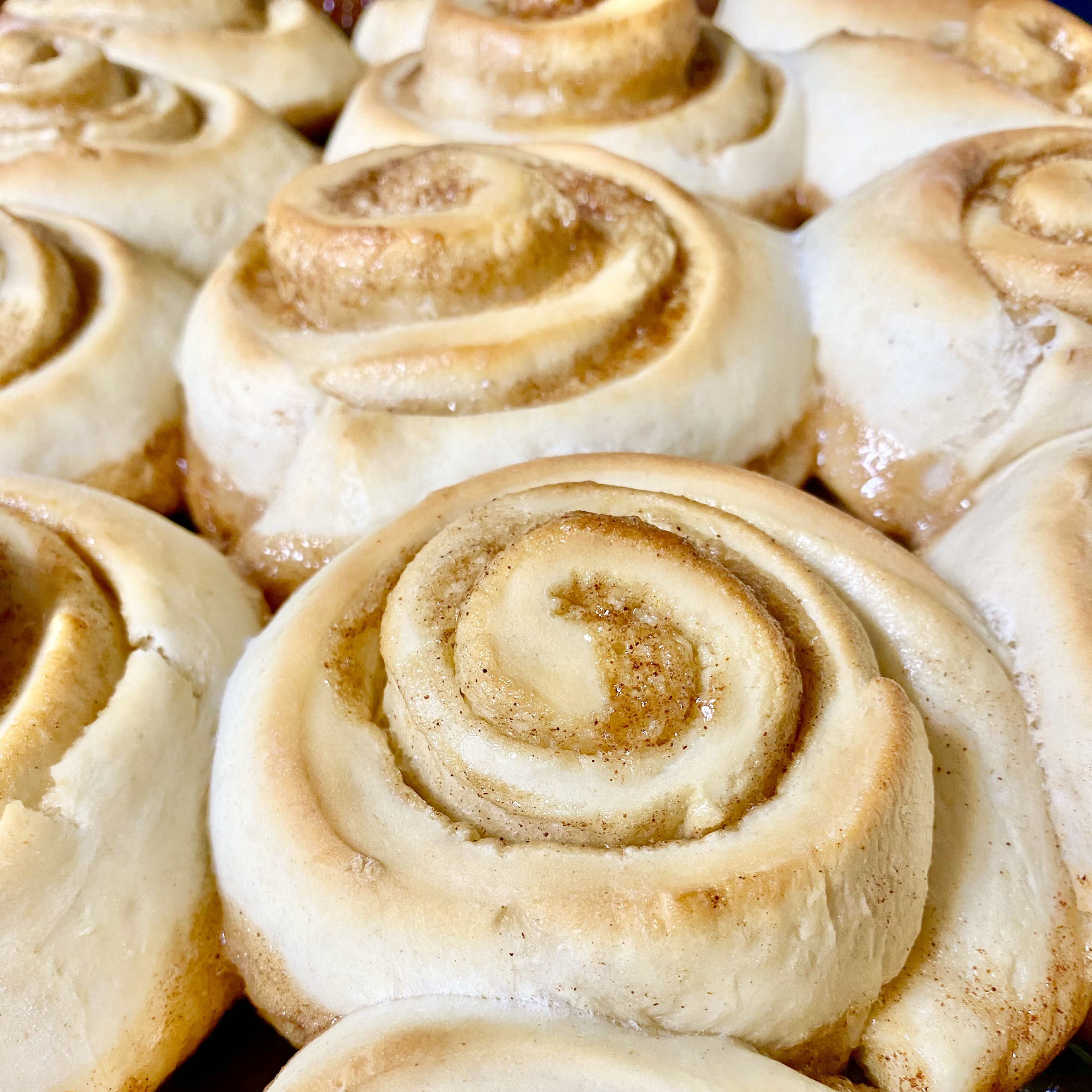 Warm cinnamon roll with frosting dripping down