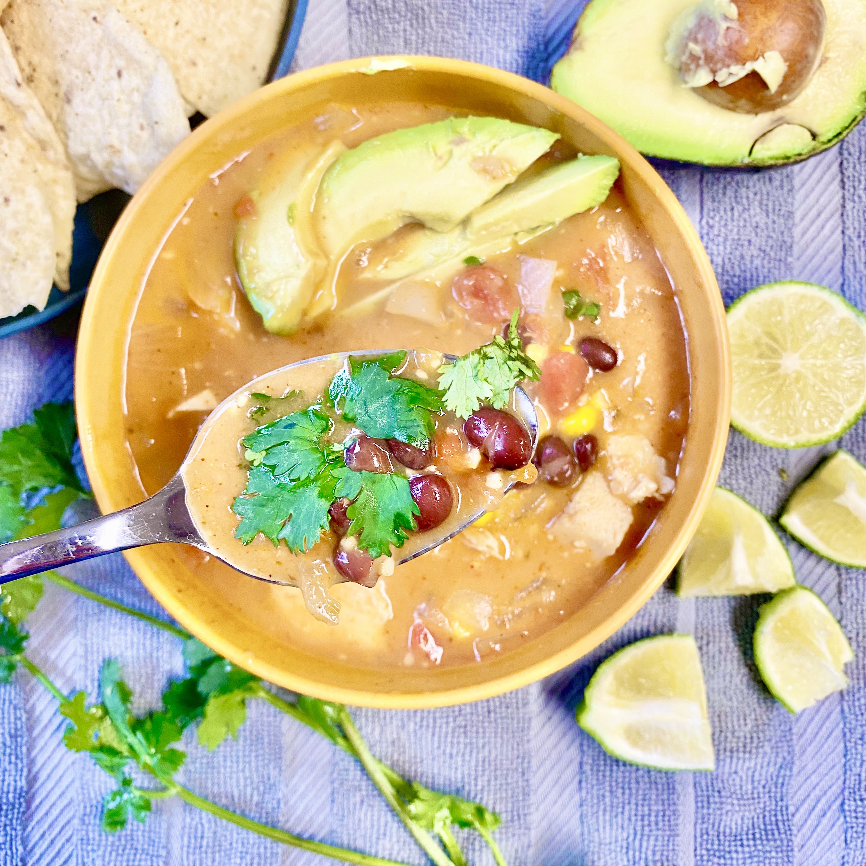 Bowl of chicken tortilla soup