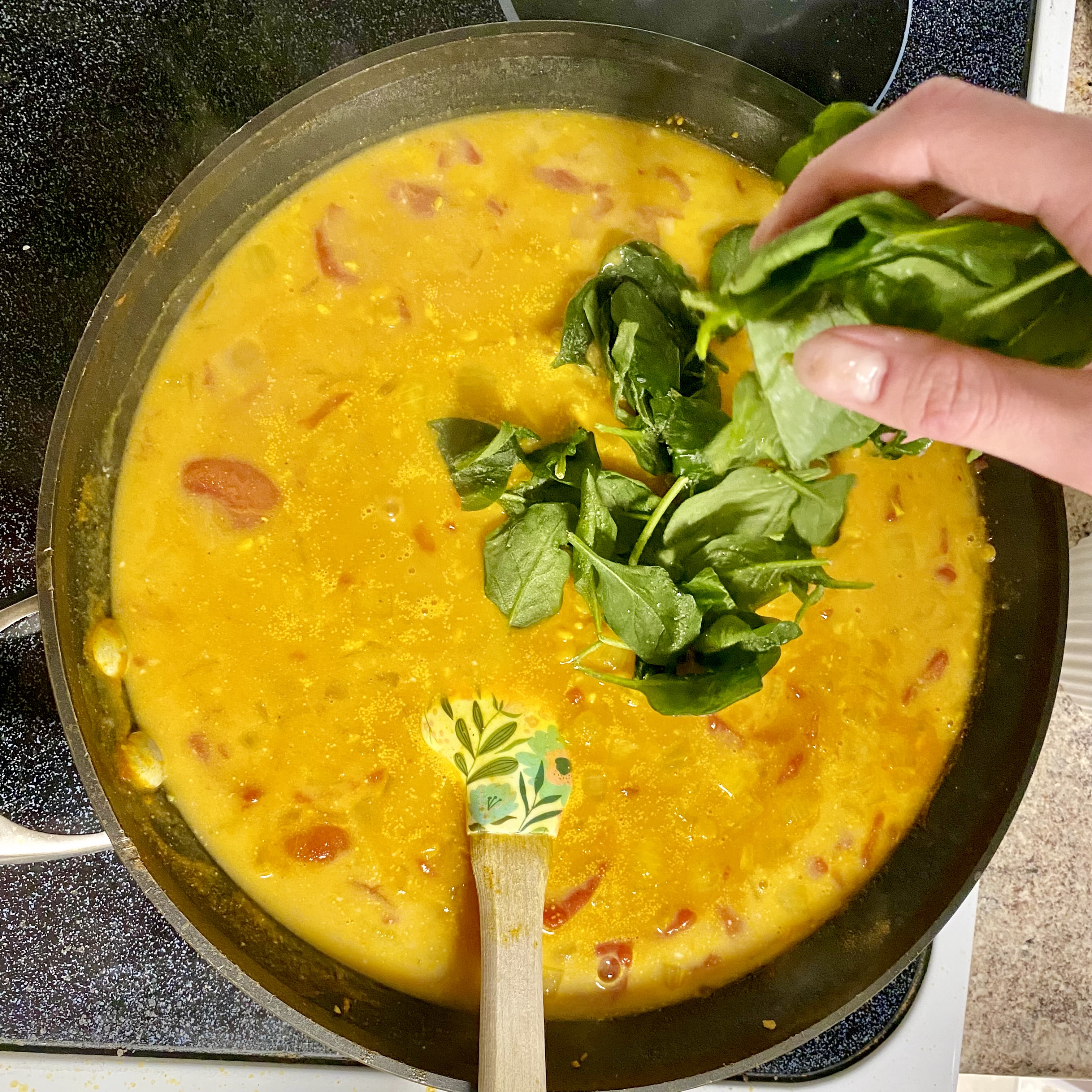 Red Lentil Curry with Ginger Chicken